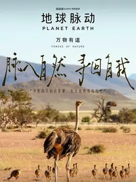 地球脉动：万物有道